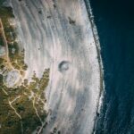 Cand se planteaza ridichiile negre