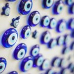 Cand se planteaza muru