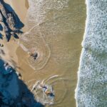 Cand se planteaza morcovul