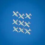 Cand se planteaza bulbii de sofran