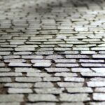 Cand se planteaza bulbii de zambile in gradina