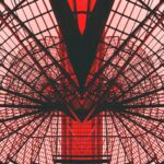 Cand se planteaza lalelele si narcisele