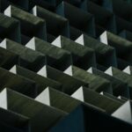 Cand se planteaza morcovii primavara