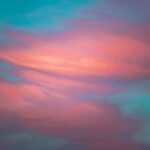 Cand se planteaza bulbii de anemone