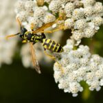 „Descoperă speciile rare de plante la Grădina Botanică București”