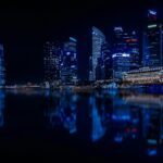 Cand se planteaza vinetele in solar