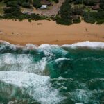 Cand se planteaza oxalis