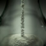 Cand se planteaza alunii de padure