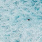 Cand se planteaza morcovul in gradina