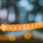 Cand se planteaza bujorii de gradina