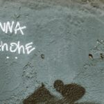 Cand se planteaza trandafirii pitici in gradina