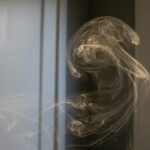 Cand se planteaza gazonul toamna