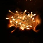 Cand se planteaza bamele