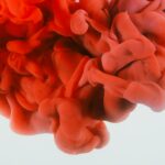 Cand se planteaza calele