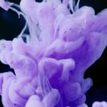 Cand se planteaza bradul argintiu