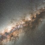 Cand se planteaza butasii de vie primavara