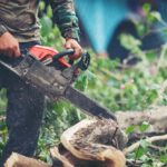 Cum să alegi drujba electrică și tocătorul de resturi vegetale ideale pentru grădina ta
