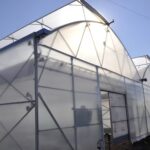 Aditivii anti‑picurare și anti‑condens: de ce contează pentru sănătatea plantelor sub folie